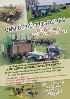 Meldung: Büffeltour