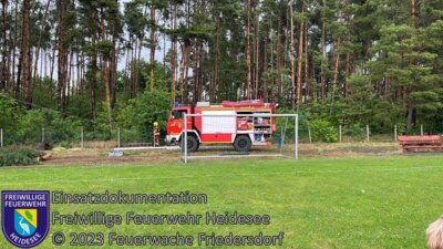 Einsatz 70/2023 | Baum droht zu stürzen | Friedersdorf Weg zum Sportplatz (Bild vergrößern)
