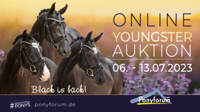 Foto zur Meldung: Ponyforum GmbH: Die neue Youngster Auktion ist online!
