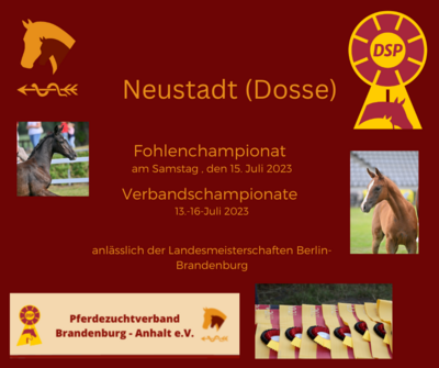 Foto zur Meldung: Fohlenchampionat und Verbandschampionat Neustadt (Dosse) 13.-16. Juli 2023