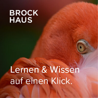 Brockhaus für Bibliotheken