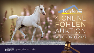 Foto zur Meldung: Ponyforum GmbH: Start der letzten Online Fohlenauktion