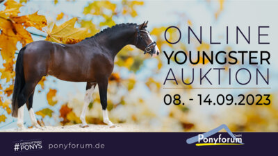 Foto zur Meldung: Ponyforum GmbH: Online Youngster Auktion vom 08.-14.09.23