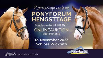 Foto zur Meldung: Ponyforum GmbH: Ponyforum Hengsttage am 12.11. in Wickrath