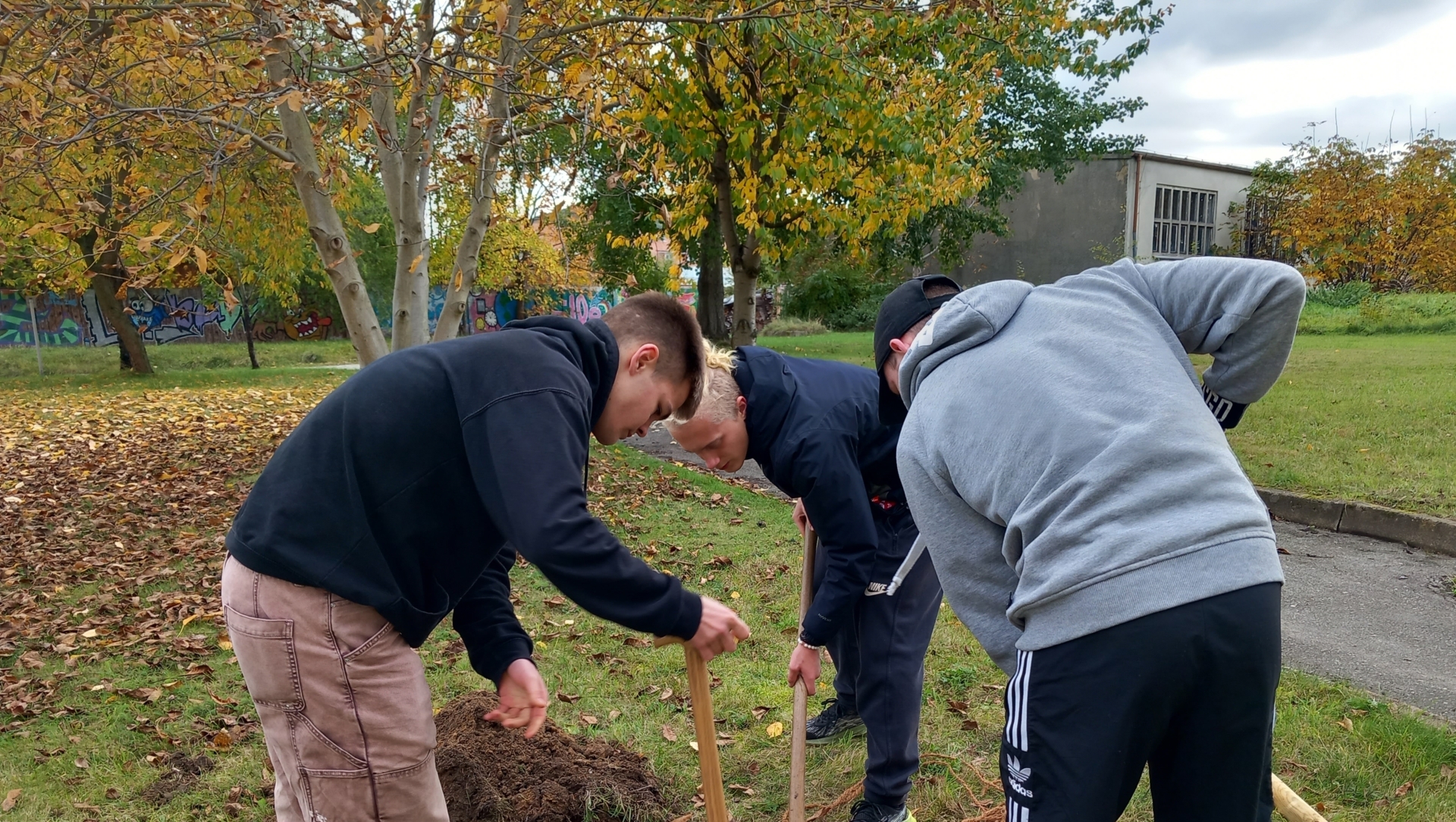 Wie pflanzt man einen Obstbaum? bszloebau.de