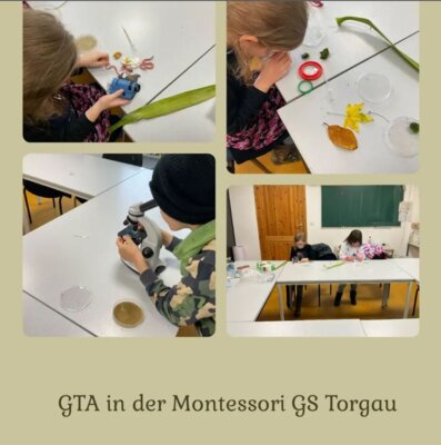 GTA in der Montessori GS Torgau