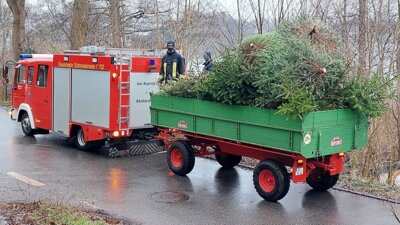 Foto zur Meldung: Feuerwehr Schmalensee sammelt am 7. Januar die Weihnachtsbäume ein