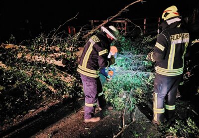 Foto zur Meldung: Alarm um Mitternacht: Feuerwehr hatte es mit drei Bäumen zu tun