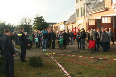 Weihnachtsbäume fliegen für guten Zweck