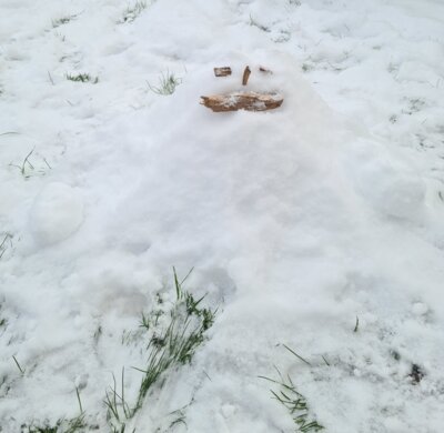 Pizi der Haufen Schneemann  von Jonah in unserem Vorgarten gebaut