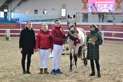 Foto zur Meldung: Die Siegerschärpen bei der Mitteldeutschen Körung der Pony- und Spezialrassen 2024 sind vergeben