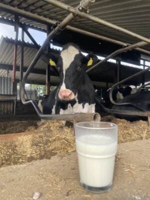 Tag der Milch 03.06. + 05.06.2024 (Bild vergrößern)