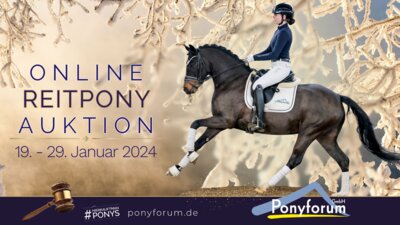 Foto zur Meldung: Ponyforum GmbH: Jahresauftakt mit hervorragender Reitponykollektion