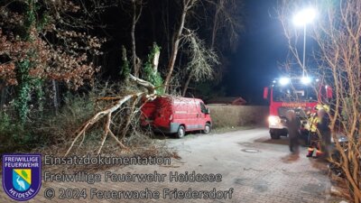 Einsatz 5/2024 | Baum auf PKW | Friedersdorf Schwedenring (Bild vergrößern)
