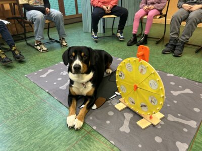Unsere Schulhunde - Tiergestützte Pädagogik (Bild vergrößern)