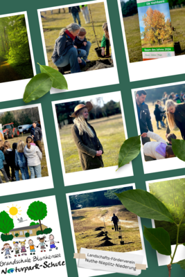 Foto zur Meldung: Gemeinsam für die Natur: Baumpflanzaktion mit dem Landschafts-Förderverein Nuthe-Nieplitz-Niederung