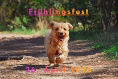 Frühlingsfest am 26.04.25 (Bild vergrößern)