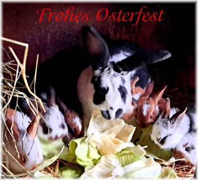 Frohes Osterfest 2024