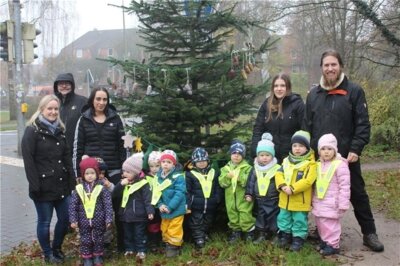 Meldung: Bürgerverein Altkloster schmückt wieder Weihnachtsbäume