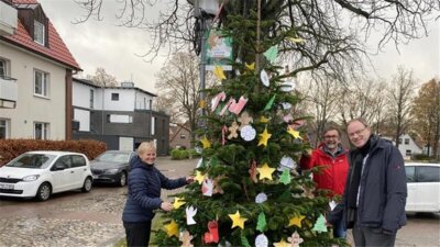 Meldung: Weihnachtsbaum-Aktion vom Bürgerverein: Das sind die schmucken Gewinner