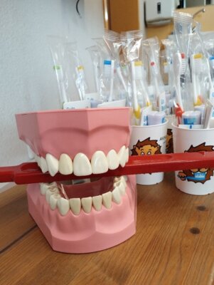 Zahnärtzin zu Besuch