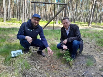 Foto zu Meldung: Bürgermeister Axel Schmidt trifft neuen Leiter der Biosphärenreservatsverwaltung Jan Schormann zum Abschluss eines Waldumbauprojektes