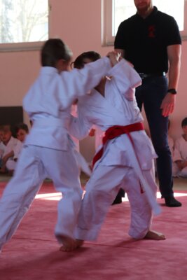 Judo-Kids beim Kampf