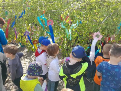 Vorschaubild zur Meldung: Der Perleberger Maibaum steht – Kita-Kinder schmücken 13 Meter hohe Birke