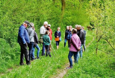 Foto zur Meldung: Holsteinseen: Waldwanderung mit Dierk Hamann am 10. Mai in Schmalensee