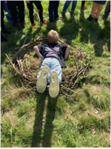 Foto zur Meldung: Vogel- Projekttag mit der Umweltpädagogin Frau Thomes