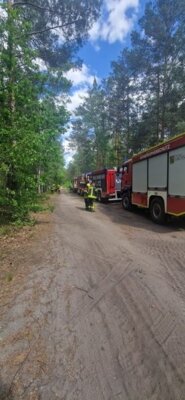 Foto zur Meldung: Einsatzbericht 20/2024 - 16.05.2024 - B2 Waldbrand, Friedrichshain (Brandenburg)