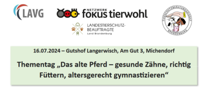 Foto zur Meldung: Thementag: „Das alte Pferd – gesunde Zähne, richtig füttern, altersgerecht gymnastizieren“