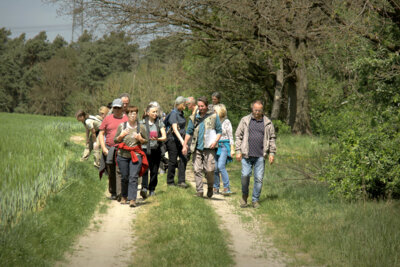 Foto zur Meldung: Wanderung im Presseler Heidewald- und Moorgebiet