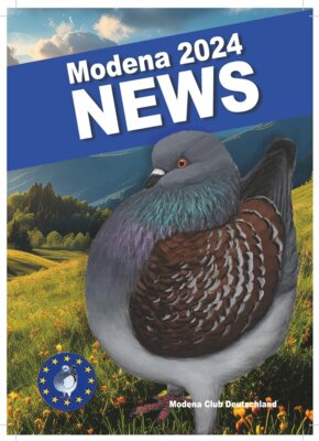 Meldung: Die Modena News 2024