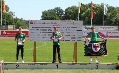 Landesmeisterschaften Leichtathletik (Bild vergrößern)