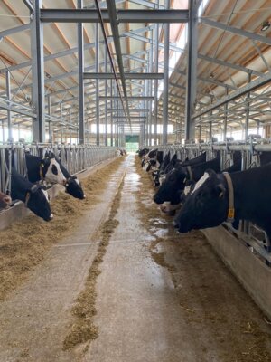 Exkursion in die Welt der Milch (Bild vergrößern)