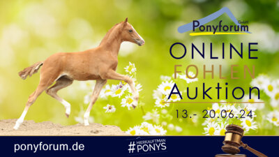 Foto zur Meldung: Ponyforum GmbH: Fohlen Online Auktion bis zum 20.06.