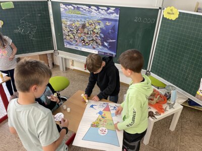 Ein Meeresschutztag mit Elasmocean (Bild vergrößern)