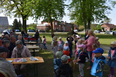 Ein Fest der Generationen: Kinder und Senioren feiern gemeinsam den Maibaum in Groß Laasch