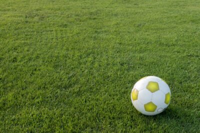 Foto zur Meldung: SV Rangsdorf 28 e.V. gewinnt Pokalfinale