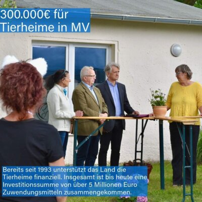 Foto zu Meldung: Katzenhaus Neukalen