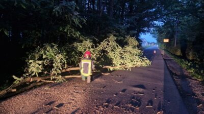 Foto zur Meldung: Einsatzbericht 22/2024 - 17.06.2024 - H1 Baum auf Straße, Schleife