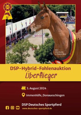 Foto zur Meldung: DSP-Fohlenauktion “Überflieger” am 3. August:  Eine Kollektion der Extraklass