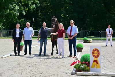 Staatsprämienschau 2024 in Prussendorf - Cydria MBR im Brillantring (Bild vergrößern)