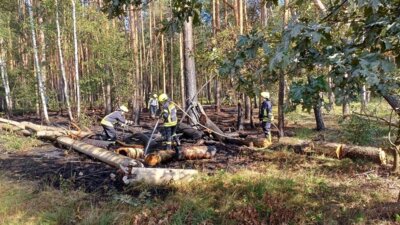 Restablöschung Waldbrand Alt-Mühlrose