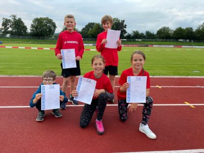 Schüler-Abendsportfest in Höllenstein (Bild vergrößern)