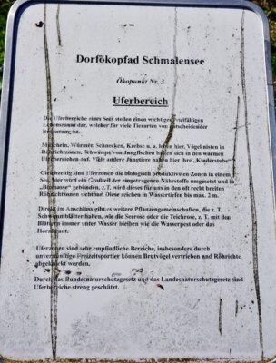Foto zur Meldung: Dorfökopfad Schmalensee – wie geht es weiter?