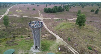 Naturerlebnis mit Geschichte: Wanderung durch die Heide mit überraschenden Infos
