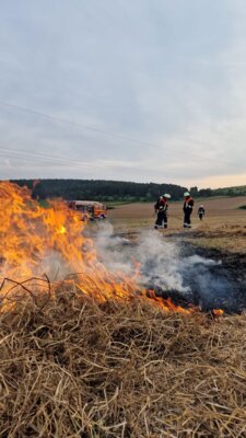Meldung: Übung Vegetationsbrand