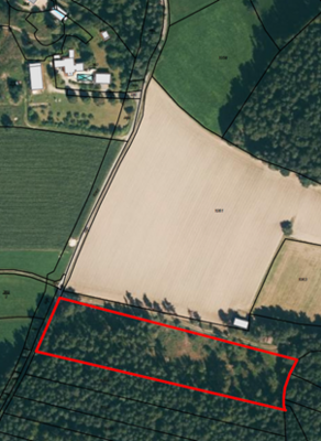 Verkauf einer Teilfläche (ca. 10.000 m²) des Waldgrundstücks mit der Flurnummer 1094 der Gemarkung Uckersdorf